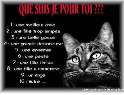 Que suis-je pour toi??
