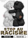 stop au racisme
